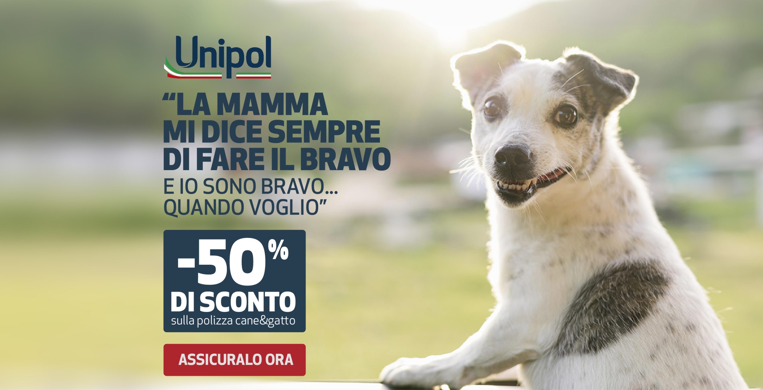 lead generation facebook assicurazione pet